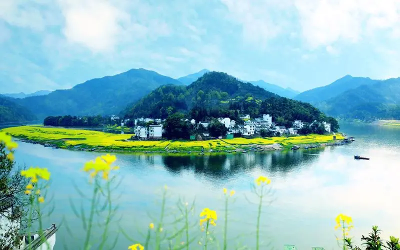绿色高效高标准